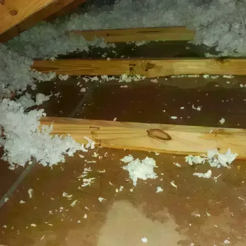 Attic Water Damage in Bordentown, NJ